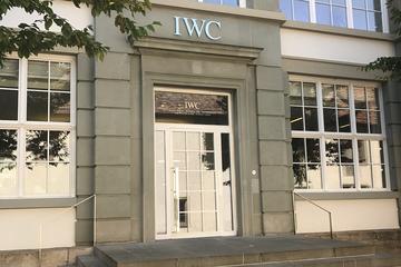 IWC Watch Museum & Rhine Falls Private Sightseeing Tour