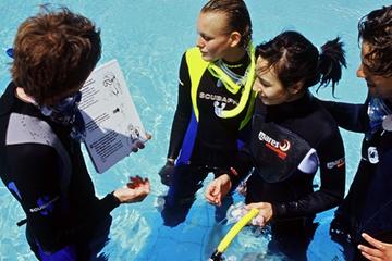 PADI Discover Scuba Diving in Freeport