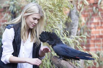 Adelaide Zoo Behind the Scenes Experience: Cockatoo Encounter