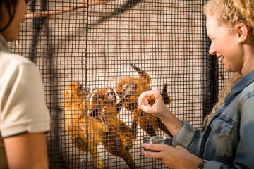 Adelaide Zoo Behind the Scenes Experience: Meet the Primates