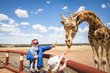 Giraffe Safari and a day at Monarto Zoo