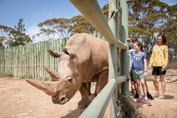 Rhino Interactive and a day at Monarto Zoo