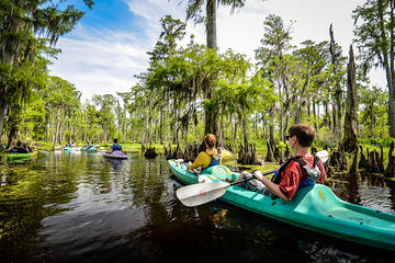 Manchac Magic Kayak Swamp Tour