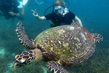 2-dive trip to Koh Tao