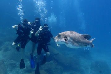 Discover Scuba Diving