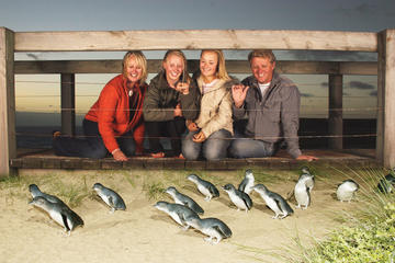Phillip Island Nature Park Full-Day Tour from Melbourne