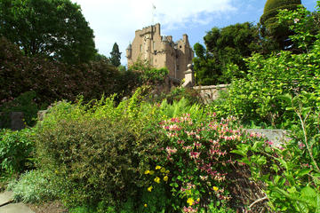 Crathes Castle, Garden, and Estate Entrance Ticket