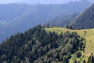 2-Day Hike in Borjomi-Kharagauli National Park