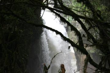 Full Day Tour To Martvili & Okatse Canyons