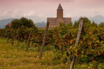 Private 1-Day Wine Tour to Kakheti:Telavi, Twins Winery, Kvareli & Tsinandali