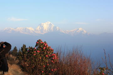 Annapurna Poon Hill Trekking