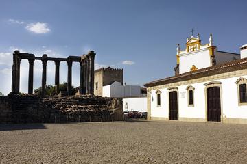 Évora Wine Tasting Day