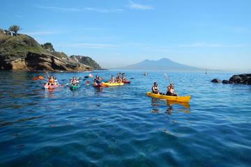 Wild Naples Kayak Experience