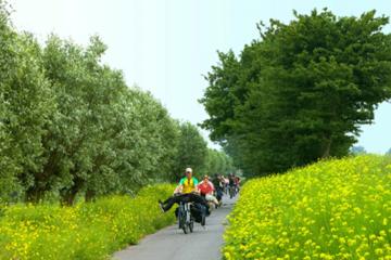 Amsterdam Countryside Bike Tour Including Cheese Tasting and Clog Demonstration