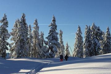 Elfin Lakes Day Hike or Snowshoe