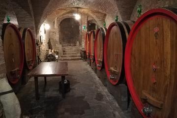 WINE-TASTING TOUR IN TUSCANY FROM ROME