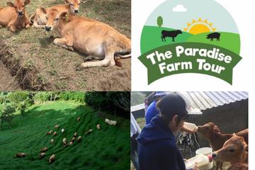 The Paradise Agroecological Farm
