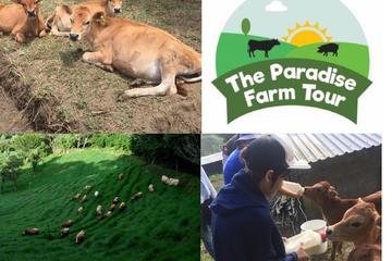 The Paradise Farm Tour & Organic Lunch