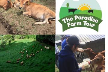 The Paradise Farm Tour & Traditional Breakfast
