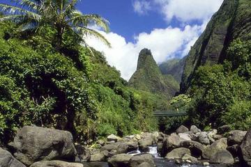 Maui Island Tour
