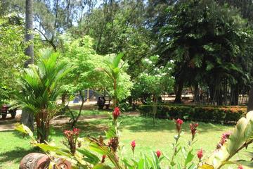 2-Day Yala National Park Safari Tour