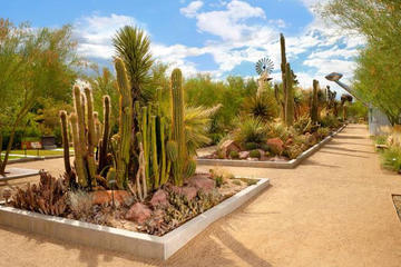 Springs Preserve Admission