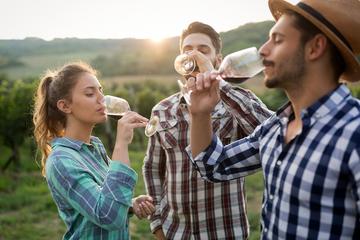 Tour del Vino in piccolo gruppo, dal Trentodoc al Teroldego