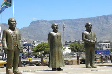 City Tour of Cape Town - Half day