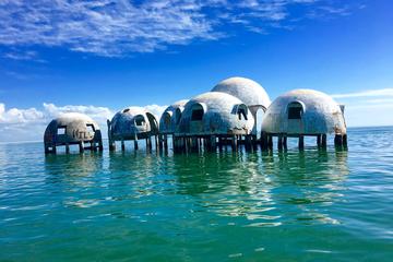 Ten Thousand Islands Adventure Boat Tour