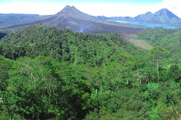 Bali Ubud and Kintamani tour