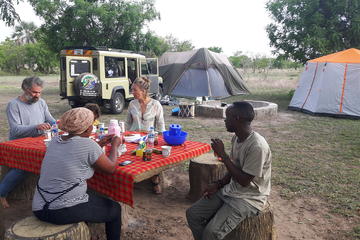 3 Days 2 Nights Mikumi National Park Camping Safari