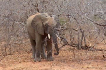 DAY TRIP TO MIKUMI NATIONAL PARK FROM MOROGORO