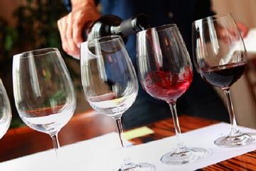 Verona tour dei vigneti con degustazione di vini (con i prezzi) Come si chiama la raccolta di vini pregiati