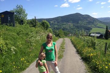 3-5 hours walking tour in Lillehammer area