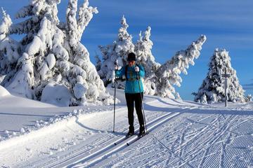 Cross-country skiing lesson in Lillehammer