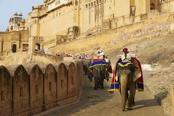 Jaipur Sightseeing with Lunch by Tuk Tuk Safari