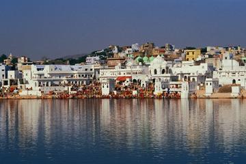 Private Day Trip of Pushkar with Lunch
