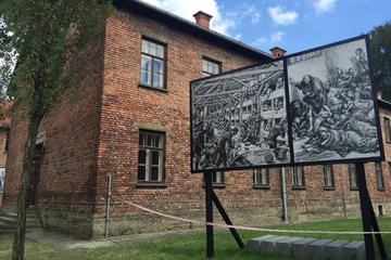 Auschwitz-Birkenau Museum Tour from Krakow