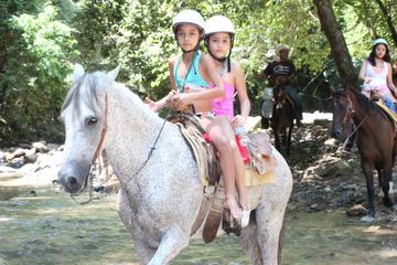 Horseback Ridding Tour
