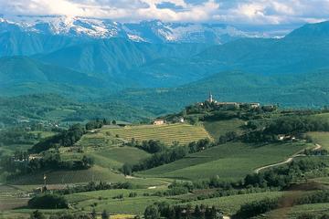 The Beauty and the Flavor of Friuli Venezia Giulia Collio Wine Tour