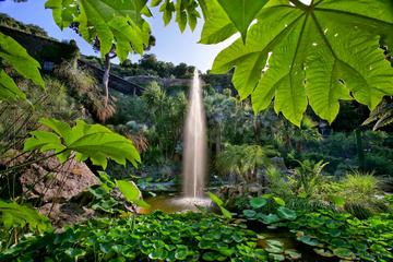 Coach Tour of Ischia and La Mortella Botanic Gardens from Sorrento