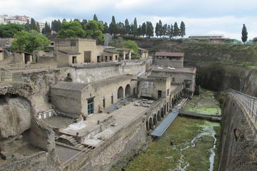 Half Day Morning Tour of Herculaneum from Sorrento