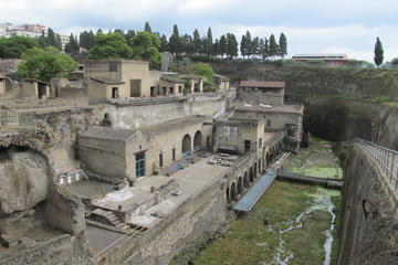 Half-Day Tour of Herculaneum from Sorrento with Private Driver