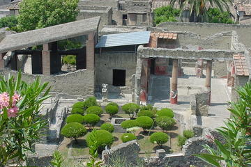 Herculaneum and Mt Vesuvius Excursion from Sorrento