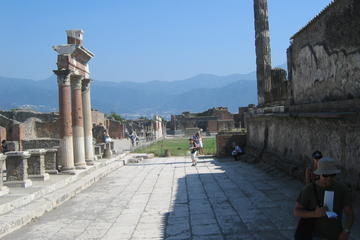 Private Day Tour to Pompeii and Herculaneum from Sorrento