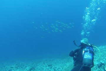 10 Dives Package