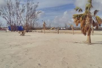 Cycle City  and Beach Tour