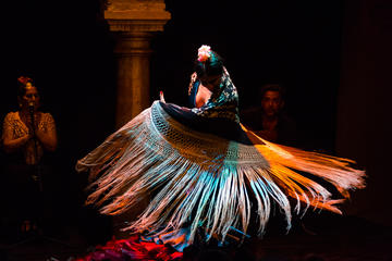 Flamenco Show at Museo del Baile Flamenco in Seville