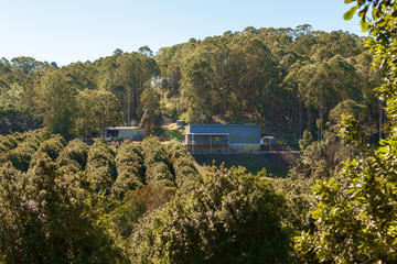 Cape Byron Distillery and Rainforest Tour