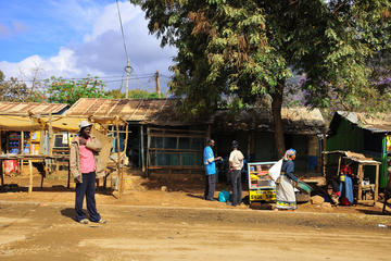 Tanzania Village Coffee and Community Tour from Arusha Including Lunch with a Local